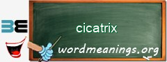 WordMeaning blackboard for cicatrix